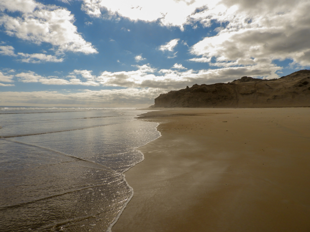 image1_3.jpg image1_3.jpg