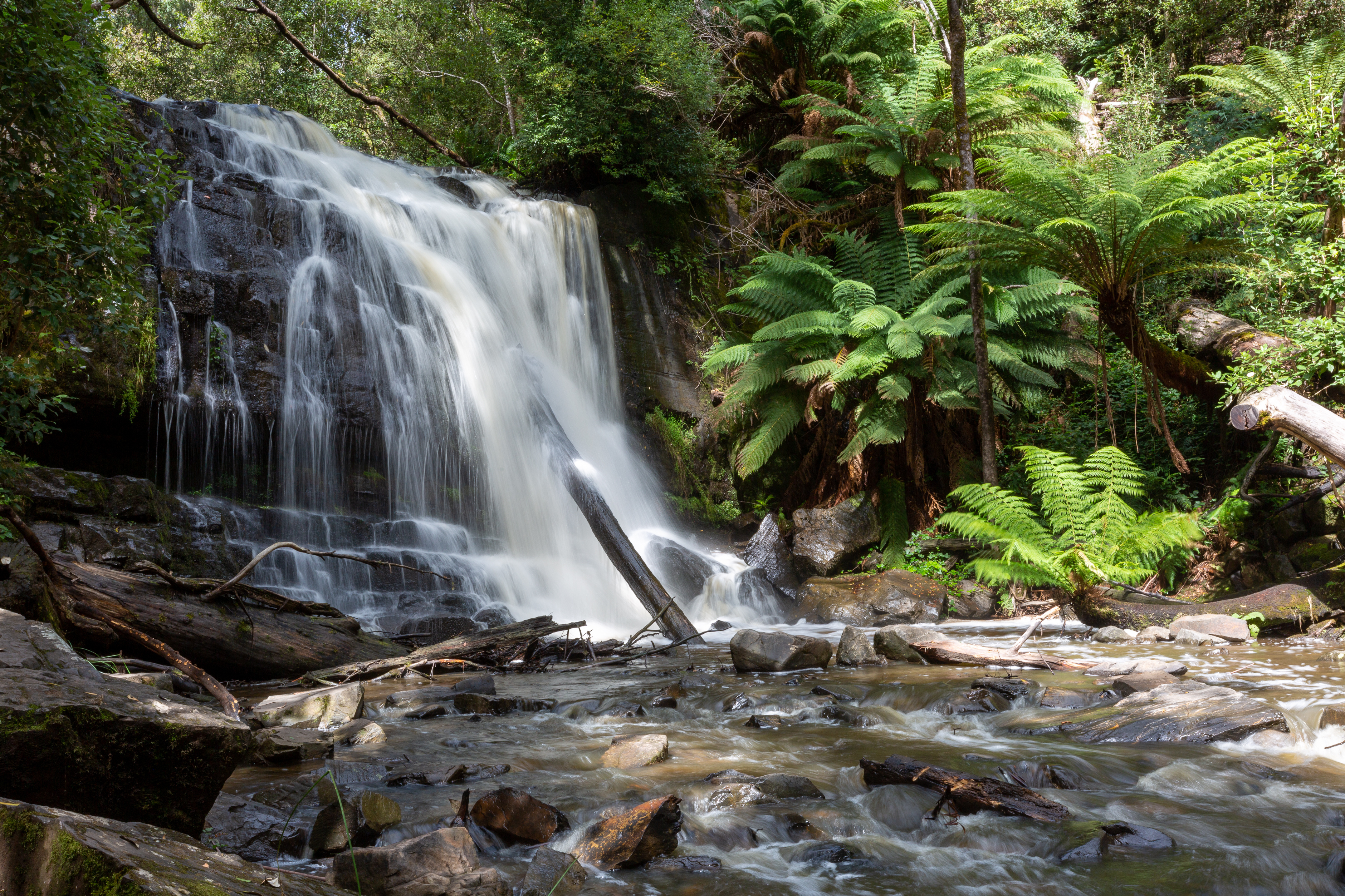AdobeStock_413650473-(1)_1.jpeg