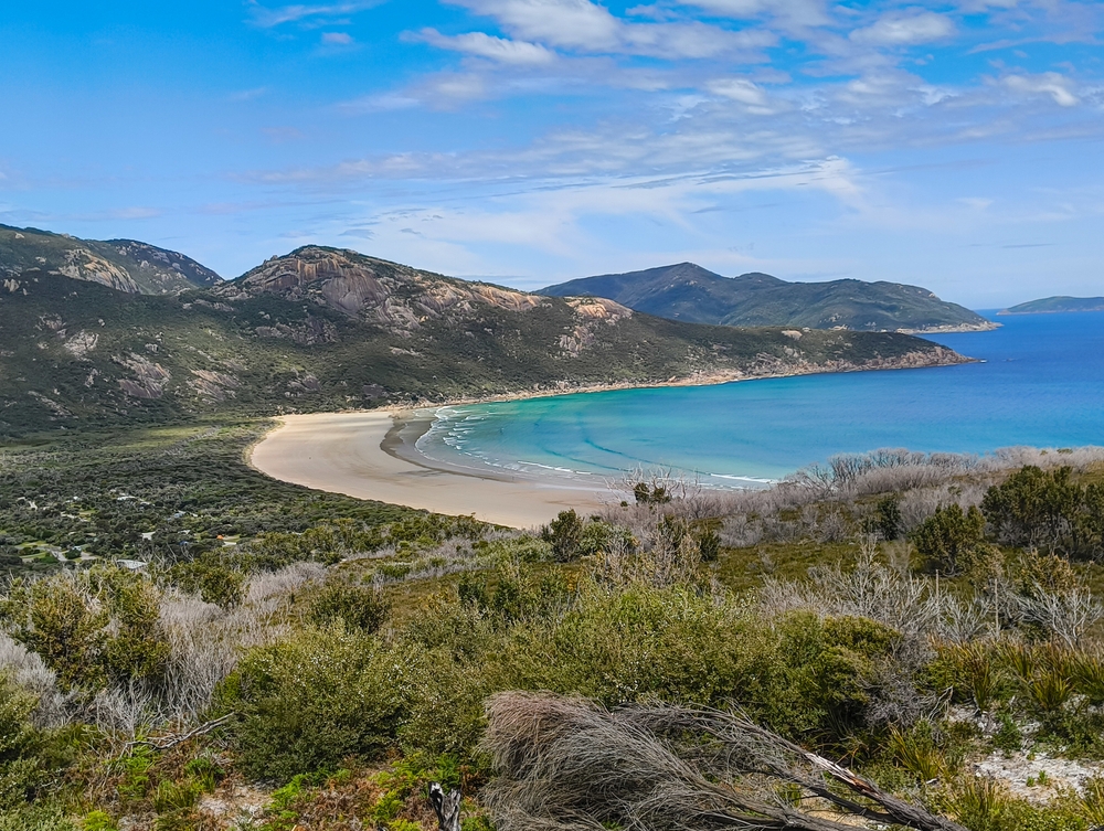 image4_4.jpg image4_4.jpg