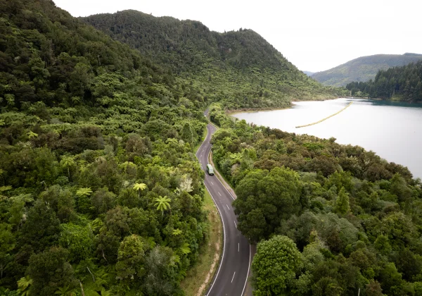 Aerial view of road winding through forest with a nearby lake