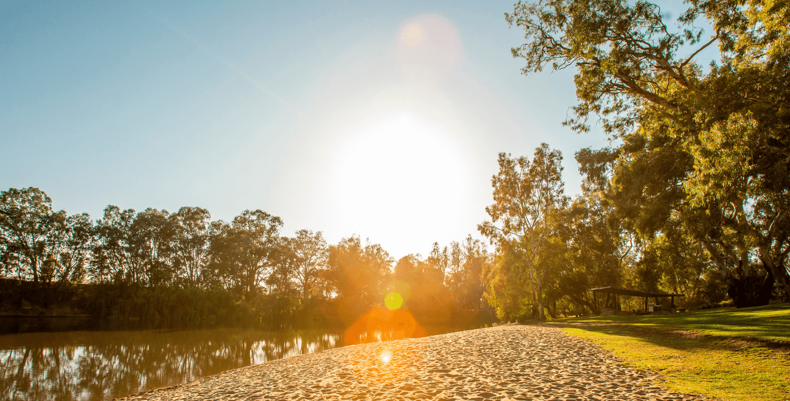 sunshine in a park
