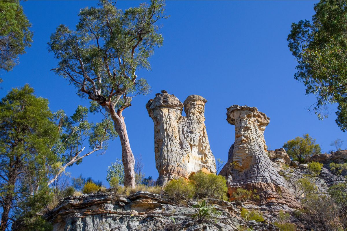Windsor-Blog-Image-QLD-Road-Trip-1200x800-3.jpg