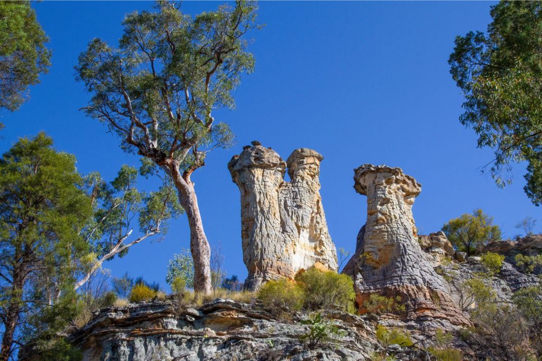 The Ultimate Queensland Road Trip Guide