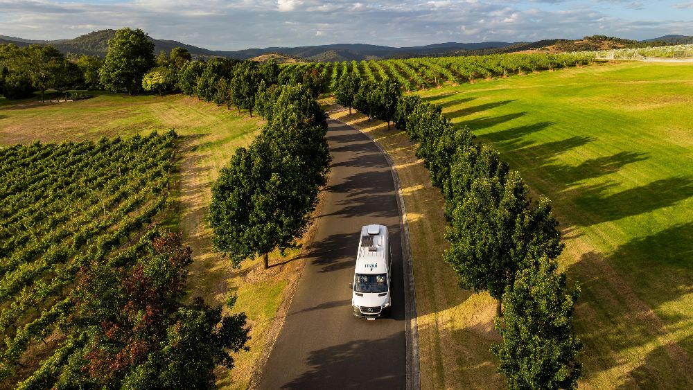 Winery