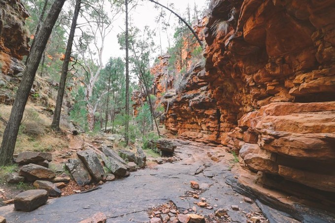 CRVSCFlindersranges3.jpg