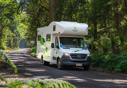 A KEA River Motorhome navigates a winding green forest road, surrounded by lush trees.