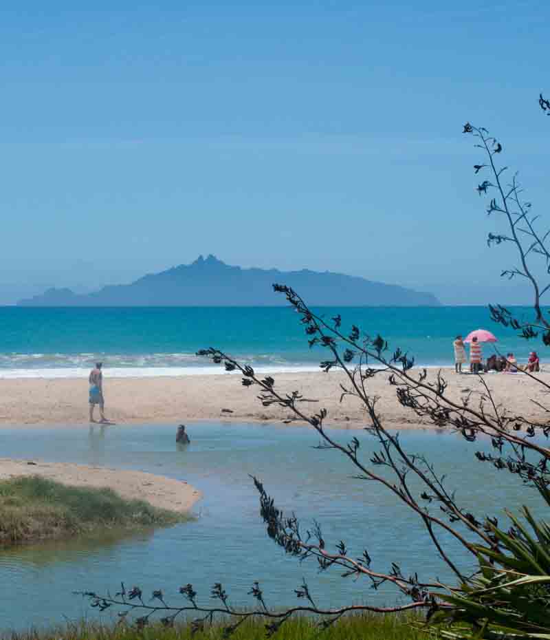 Auckland to Cape Reinga Road Trip 