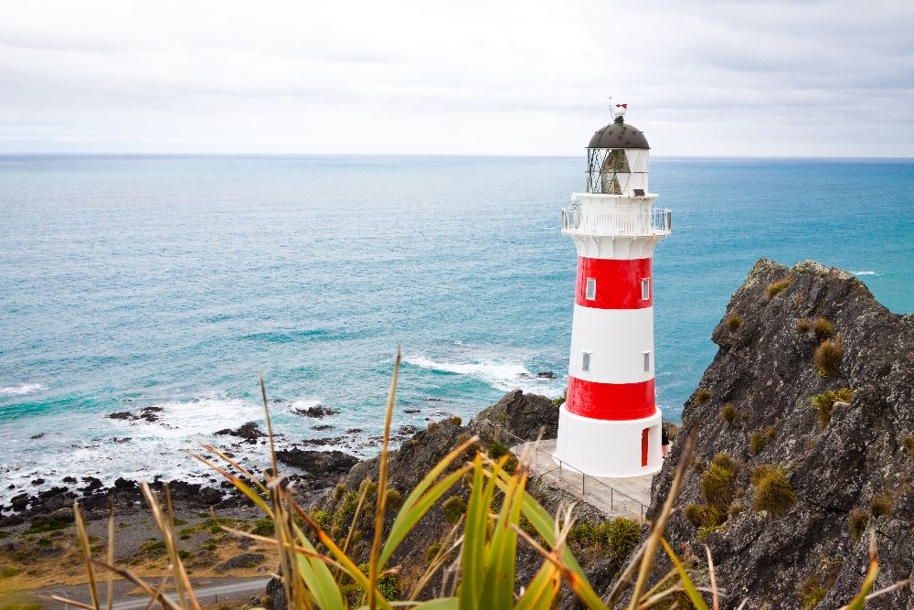 Cape Palliser